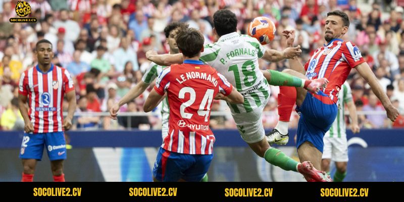 Dự đoán có thể Atletico sẽ rắng Real Betis với tỉ số cách biệt